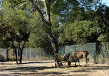 Montpellier Zoological Park