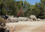 Montpellier Zoological Park