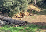 Montpellier Zoological Park