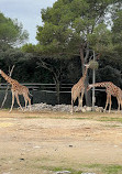 Montpellier Zoological Park