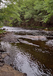 Austin T. Blakeslee Natural Area