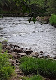 Austin T. Blakeslee Natural Area