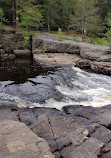 Austin T. Blakeslee Natural Area