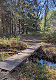 Austin T. Blakeslee Natural Area