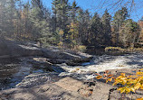 Austin T. Blakeslee Natural Area