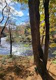 Austin T. Blakeslee Natural Area