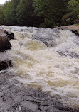 Austin T. Blakeslee Natural Area