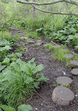 Austin T. Blakeslee Natural Area