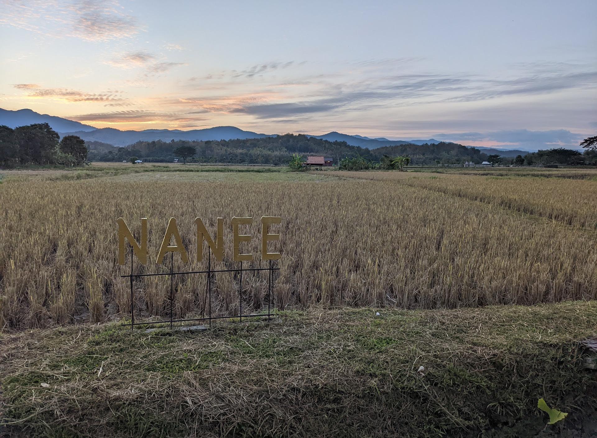 Nanee restaurant and coffee shop