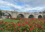 Toledo Bridge