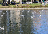 Palace of Fine Arts