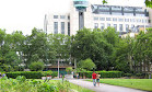 Victoria Embankment Gardens