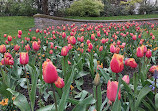 Victoria Embankment Gardens