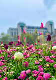 Victoria Embankment Gardens