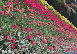 Victoria Embankment Gardens