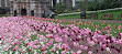 Victoria Embankment Gardens