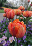 Victoria Embankment Gardens