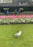 Victoria Embankment Gardens