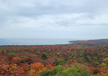 Edmund Fitzgerald Lake Superior Lookout