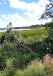 Bird watching tower (Flamingoinsel - Verden's Flamingo Colony)