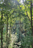 U.S. National Whitewater Center