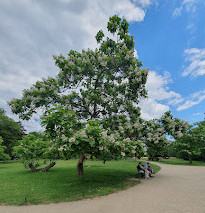 Sanssouci Park