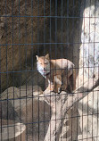 Inokashira Park Zoo