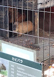 Inokashira Park Zoo