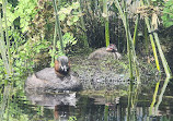 Inokashira Park Zoo