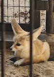 Inokashira Park Zoo