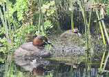 Inokashira Park Zoo