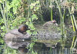 Inokashira Park Zoo