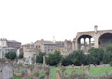 Basilica of Maxentius