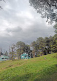 Patnitop Picnic Spot - Hill Station