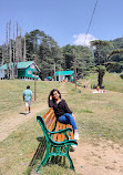 Patnitop Picnic Spot - Hill Station