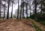 Patnitop Picnic Spot - Hill Station