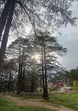 Patnitop Picnic Spot - Hill Station