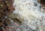 Muninagara Waterfall