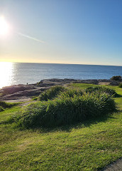 Aussichtspunkt Coogee South Rocky Point