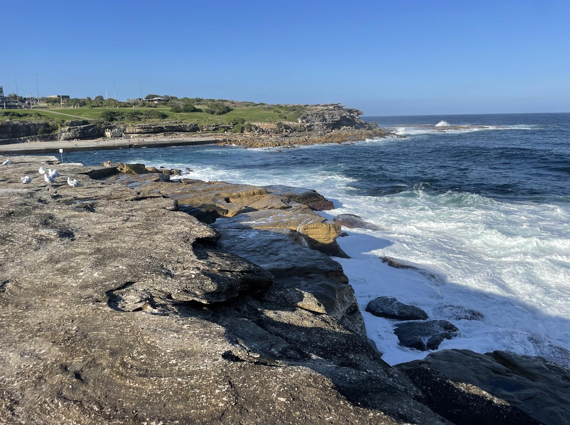 Little Coogee Bay Lookout