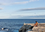 Little Coogee Bay Lookout