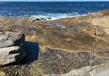 Little Coogee Bay Lookout