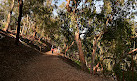 Mulholland Scenic Overlook