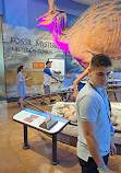 San Diego Natural History Museum