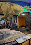 San Diego Natural History Museum