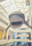 San Diego Natural History Museum