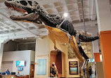 San Diego Natural History Museum