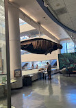 San Diego Natural History Museum