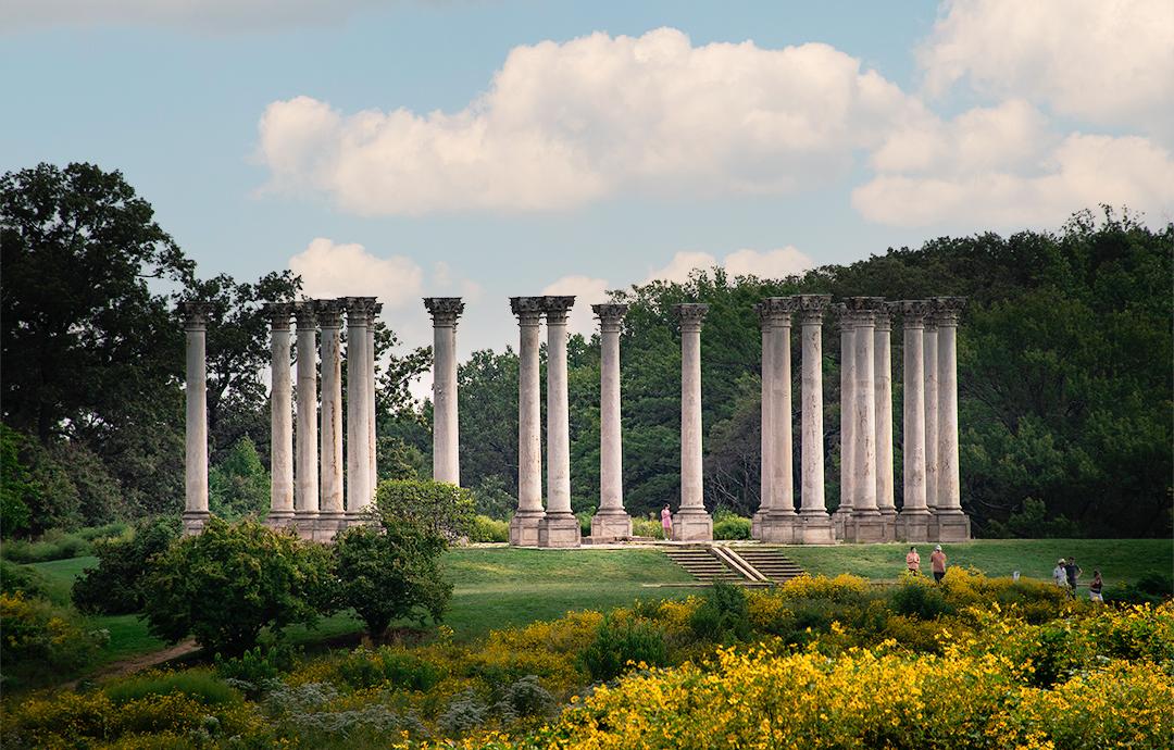 National Capitol Columns