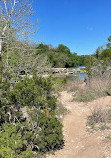 Barton Creek Greenbelt Trailhead